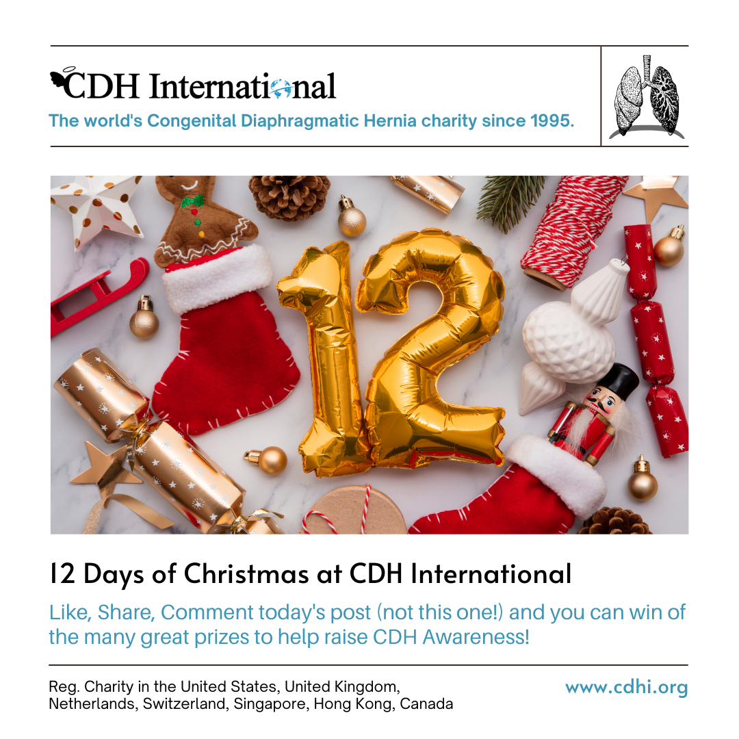 11th Day of Christmas CDHi Contest Prize!