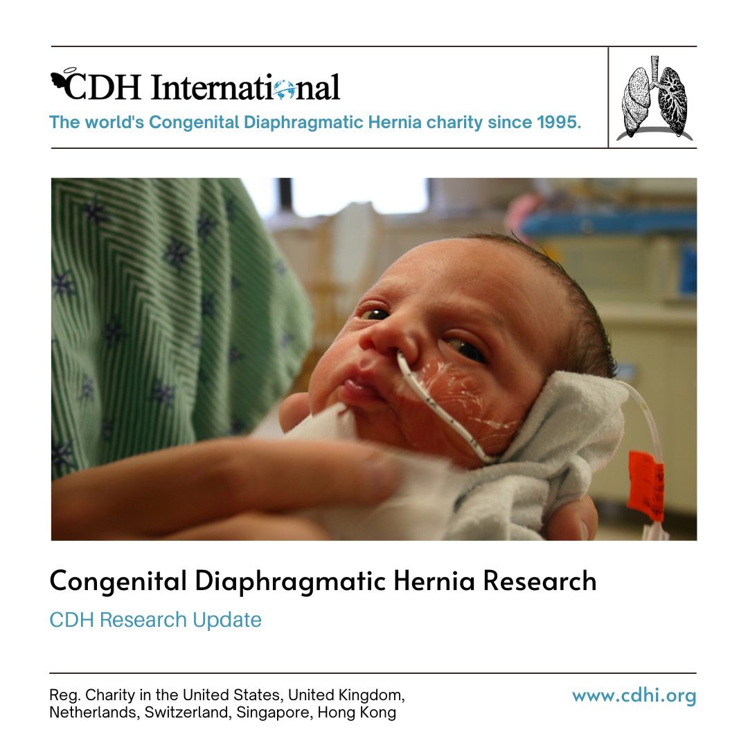 Research: Emanuel syndrome and congenital diaphragmatic hernia: A systematic review