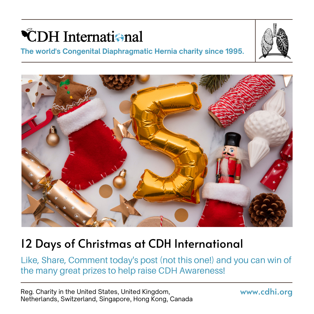 6th Day of Christmas CDHi Contest Prize!