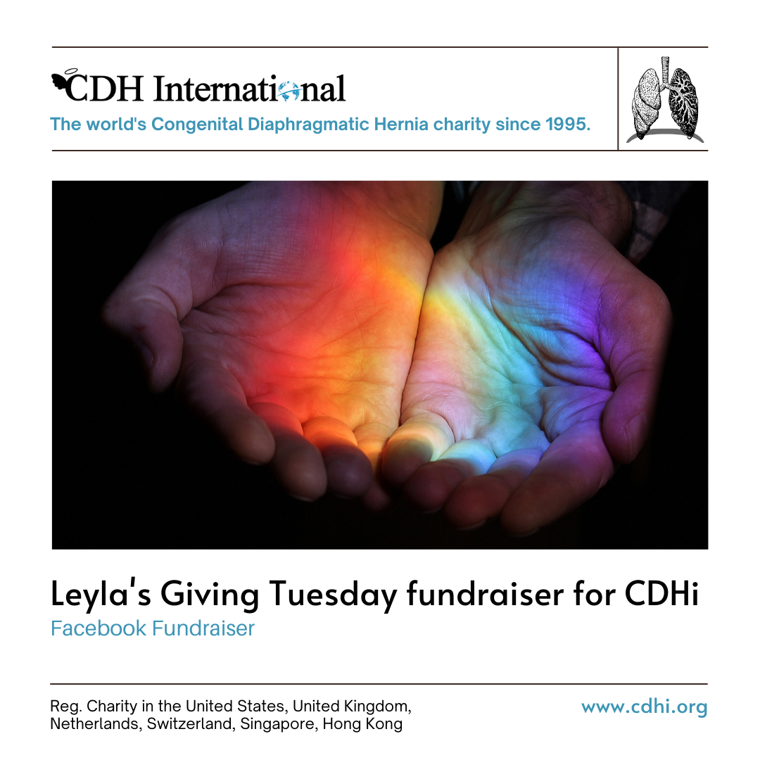 Cody’s Giving Tuesday Fundraiser for CDHi