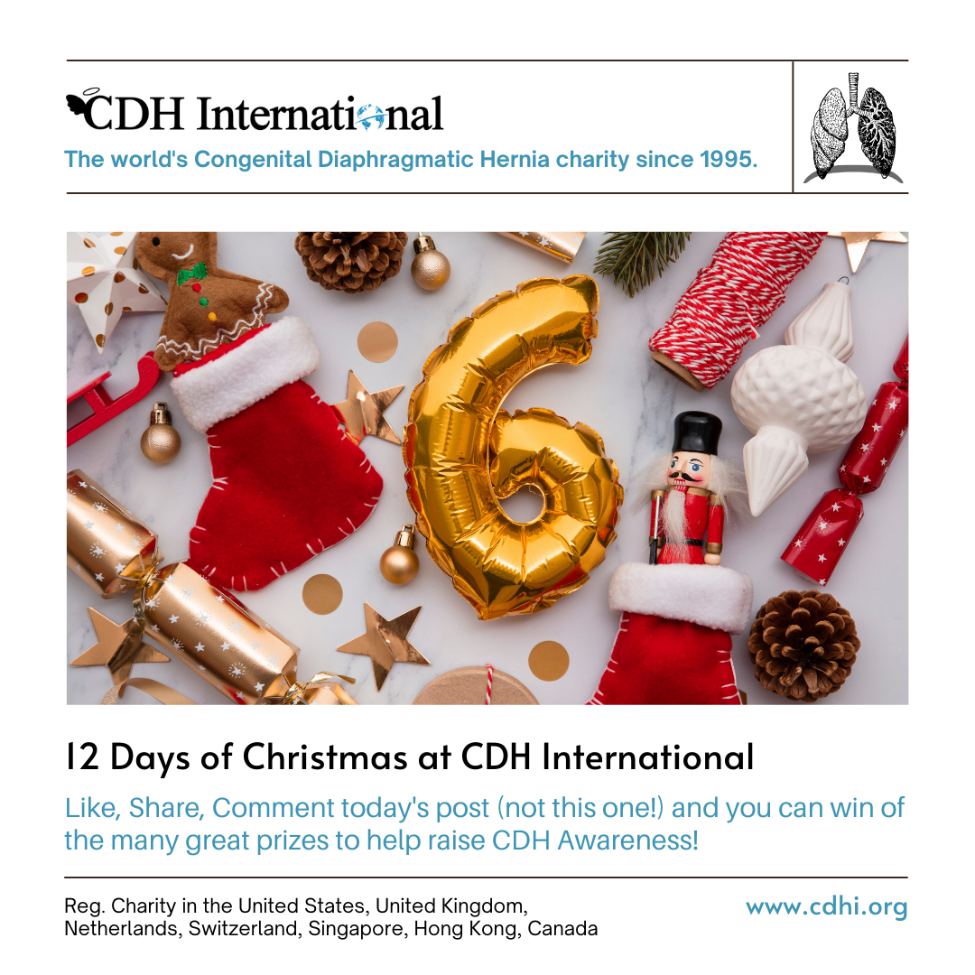 5th Day of Christmas CDHi Contest Prize!