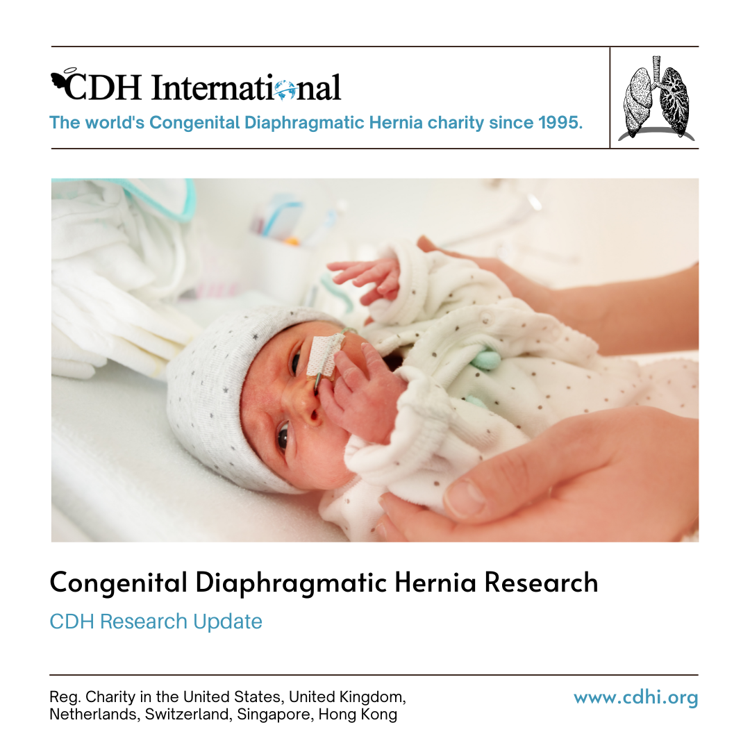 Research: Does creating a dome reduce recurrence in congenital diaphragmatic hernia following patch repair?