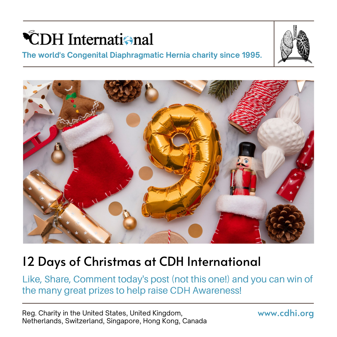 10th Day of Christmas CDHi Contest Prize!
