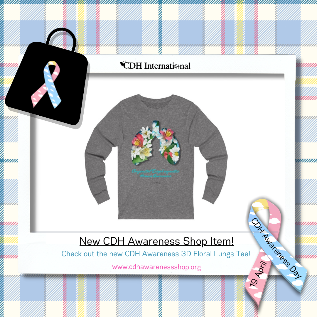Official CDH Awareness Tartan Pullover Hoodie – New Shop Item