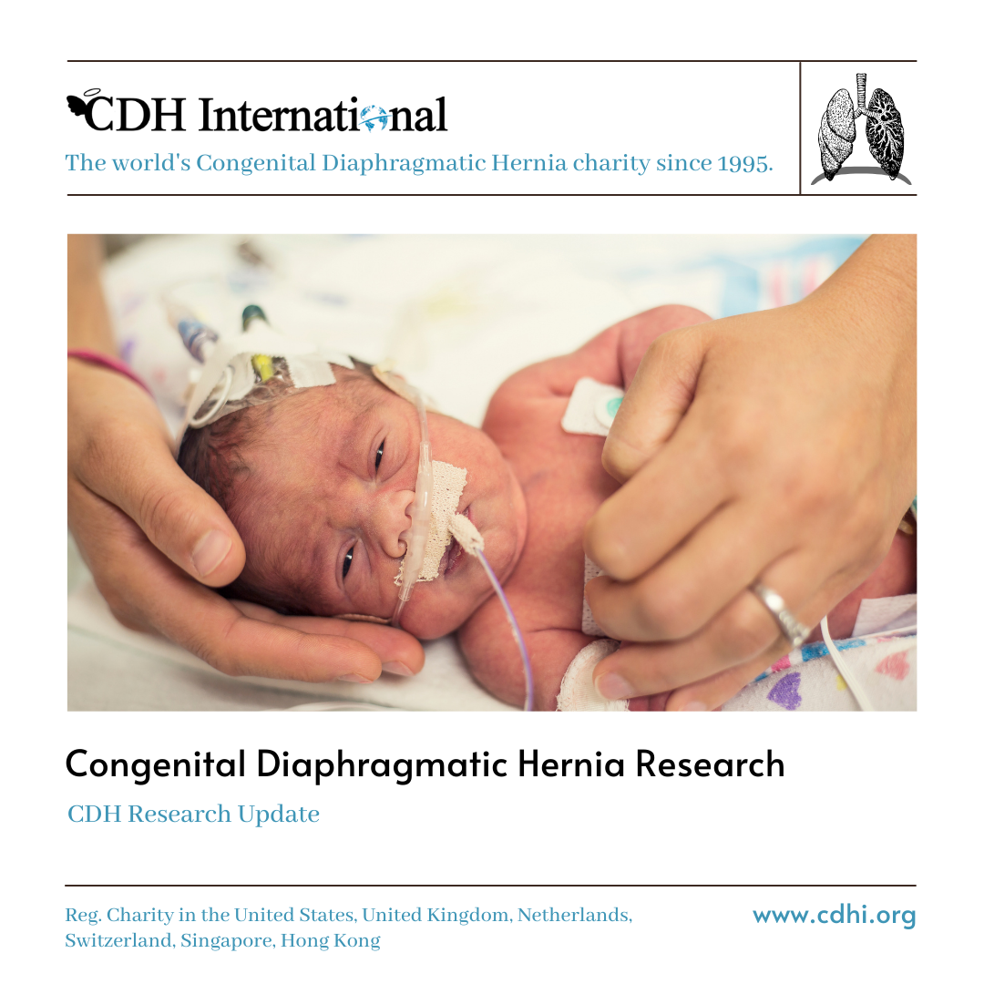Research: Longitudinal Follow-Up With Radiologic Screening for Recurrence and Secondary Hiatal Hernia in Neonates With Open Repair of Congenital Diaphragmatic Hernia-A Large Prospective, Observational Cohort Study at One Referral Center