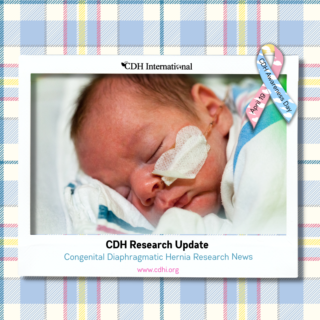 Research: Respiratory Support of Infants With Congenital Diaphragmatic Hernia