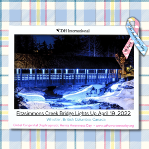 FitzsimmonsCreekBridge1