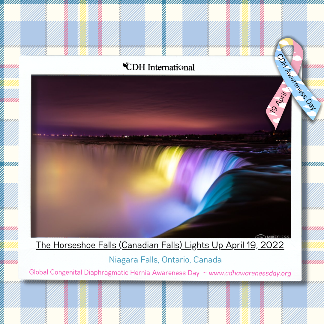 The American Niagara Falls Light Up For CDH Awareness