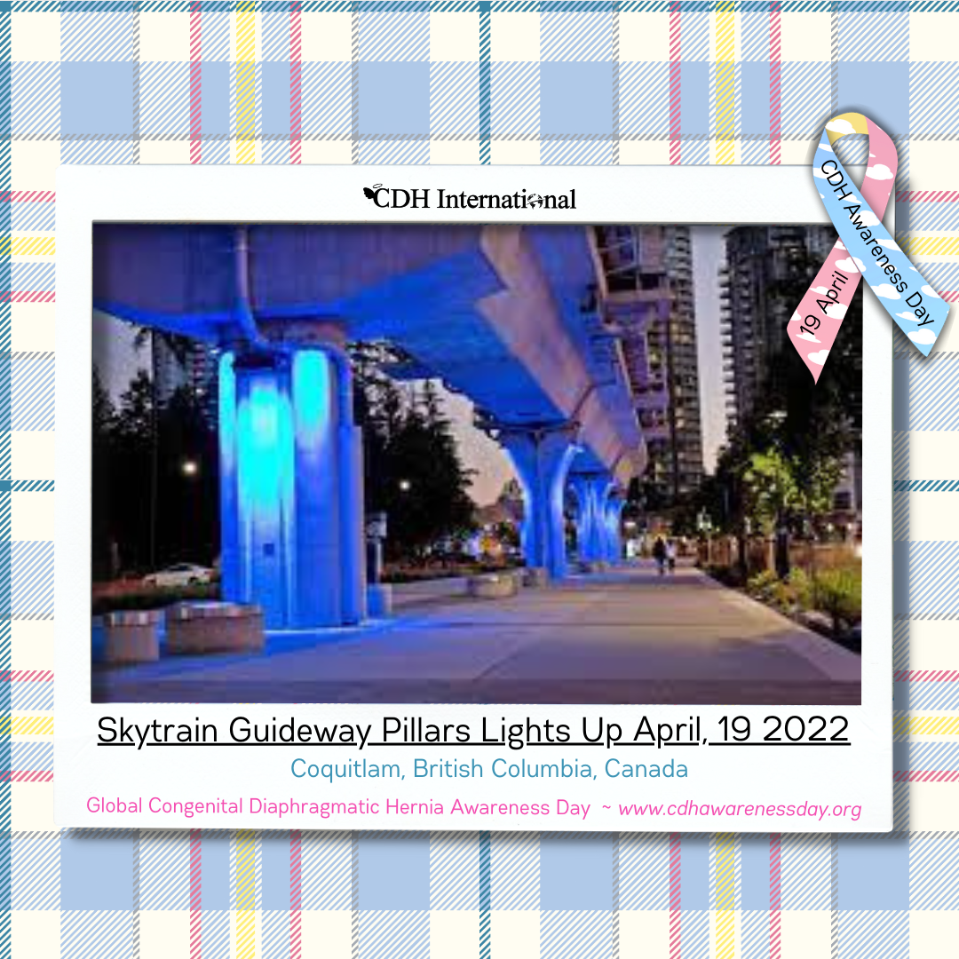 The Pinetree Way Light Column Lights Up For CDH Awareness