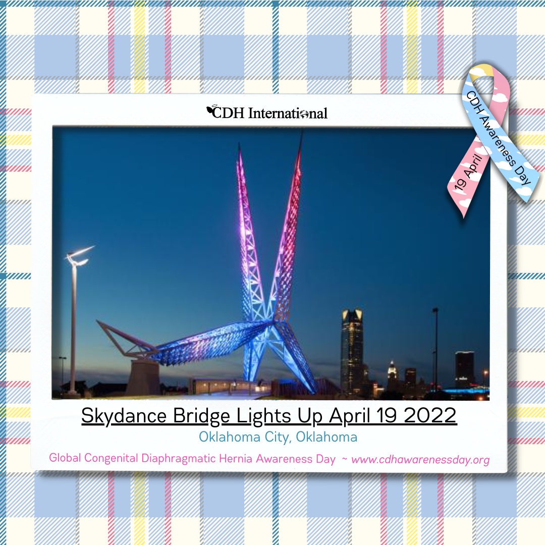 The Union Street Railroad Bridge Lights Up For CDH Awareness