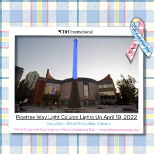 PinetreeWayLightColumn2