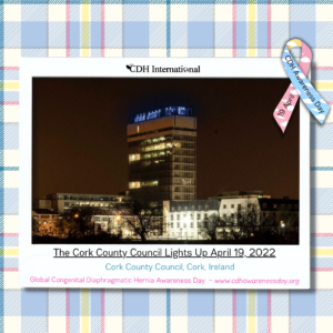 corkcountycouncil