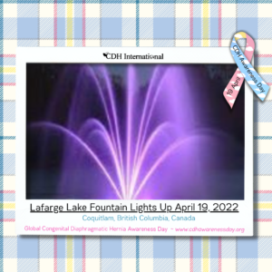 lafargelakefountainpurple5