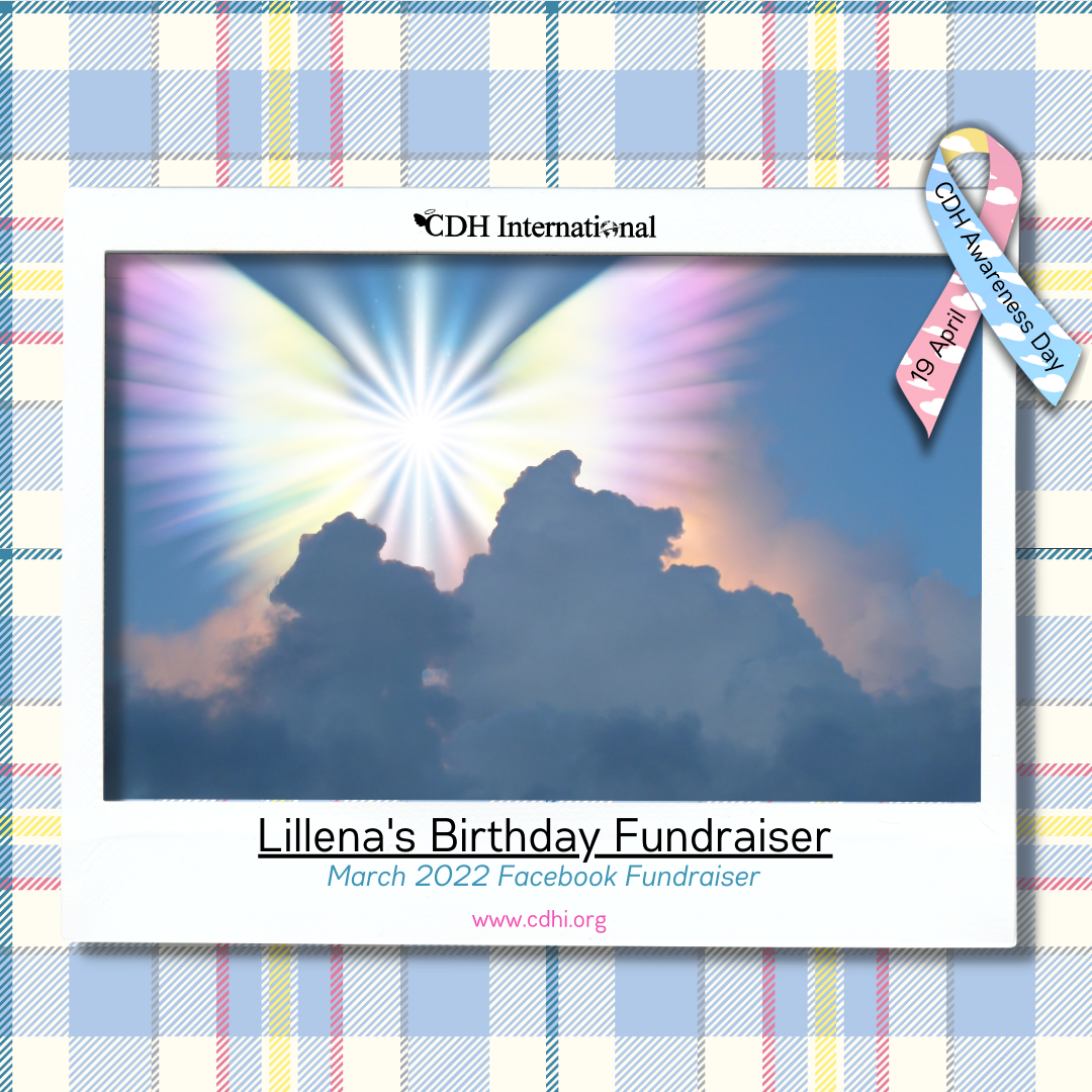 Serena’s Birthday Fundraiser for CDHi
