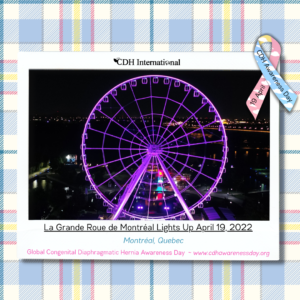 La Grande Roue de Montréal
