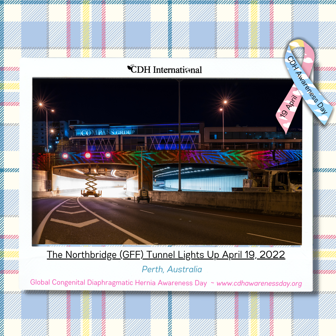 The Derry City Council Buildings Light Up For CDH Awareness