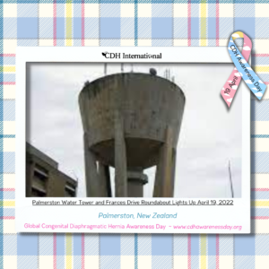 PalmerstonWaterTowerandFancesDriveRoundabout