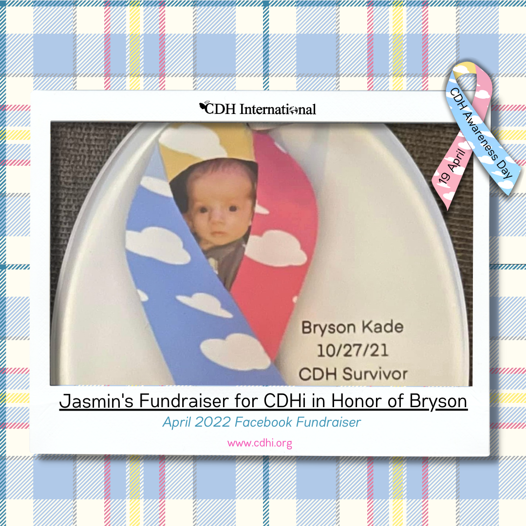 Madison’s Fundraiser for CDHi in Memory of Maya