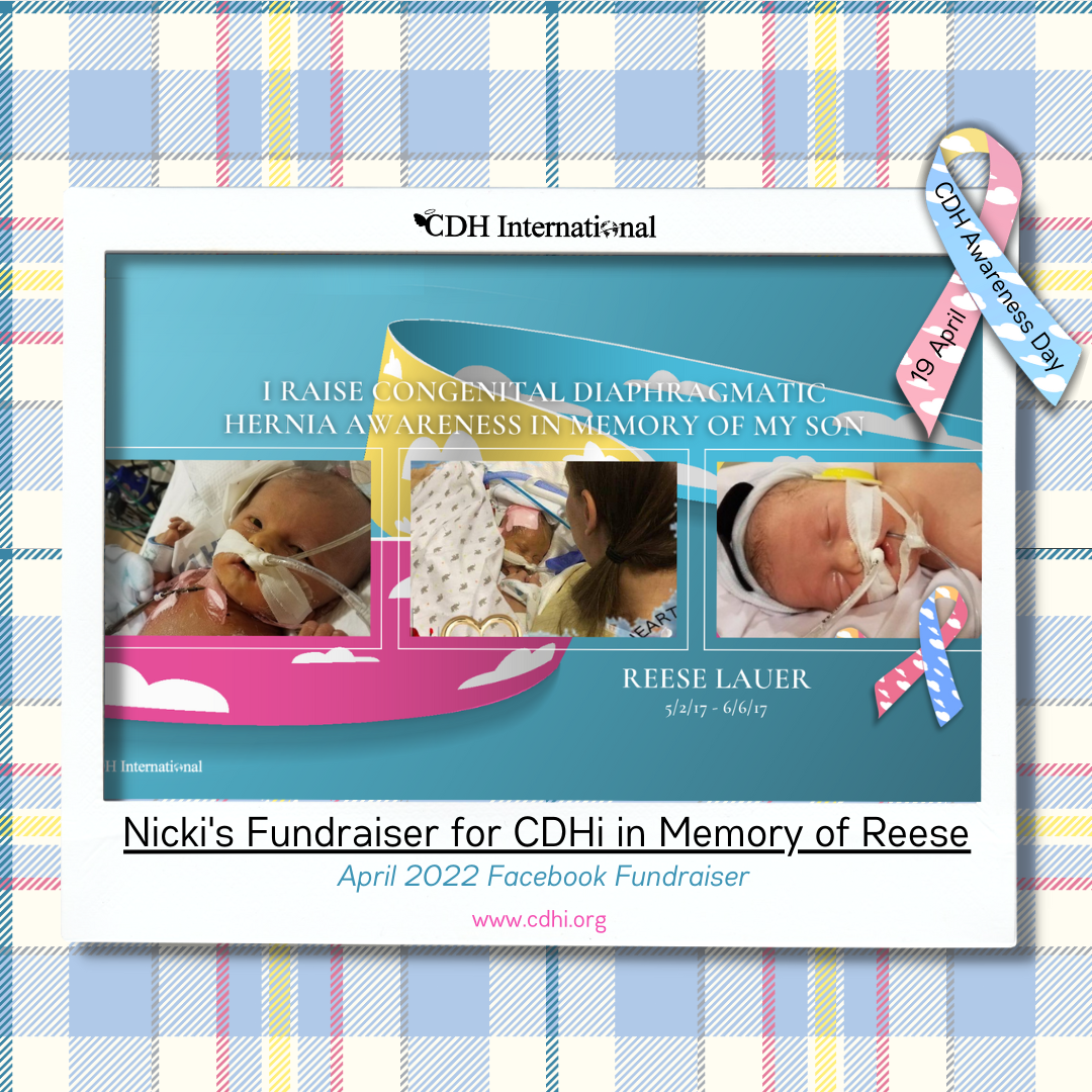 Sarah’s Fundraiser for CDHi in Memory of Asher