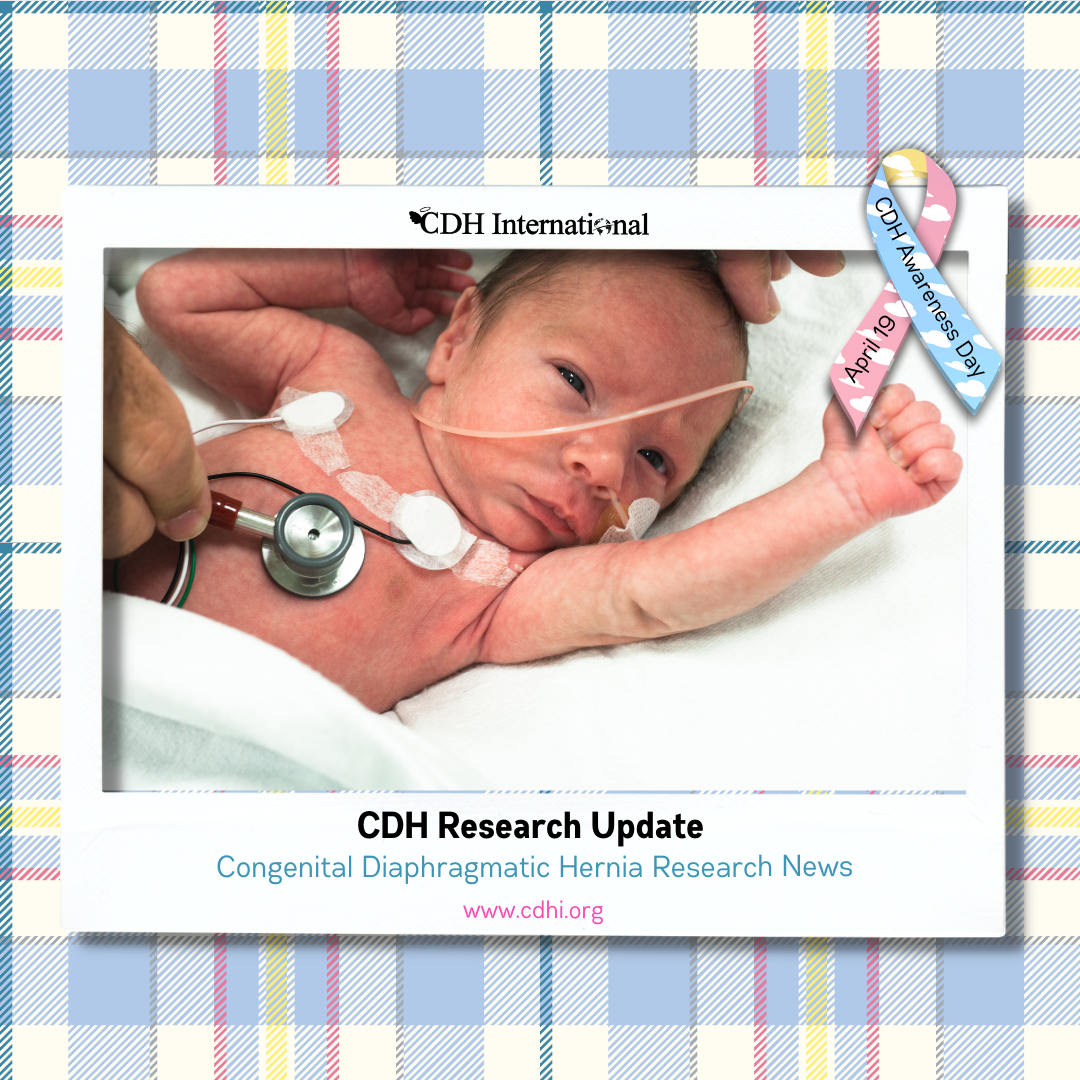 Research: Neonatal rodent ventilation and clinical correlation in congenital diaphragmatic hernia