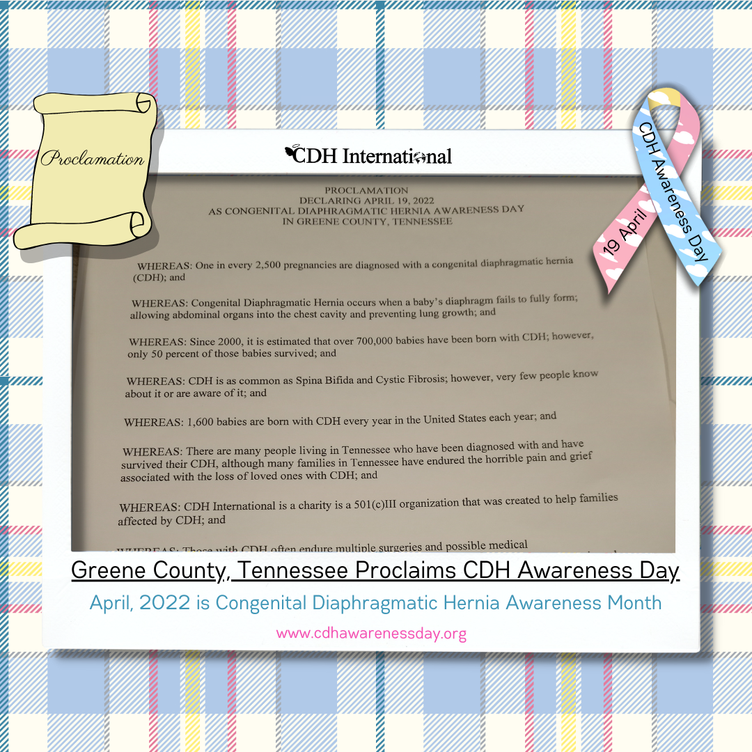 Village of Tinley Park, Illinois Proclaims April 19 as CDH Awareness Day
