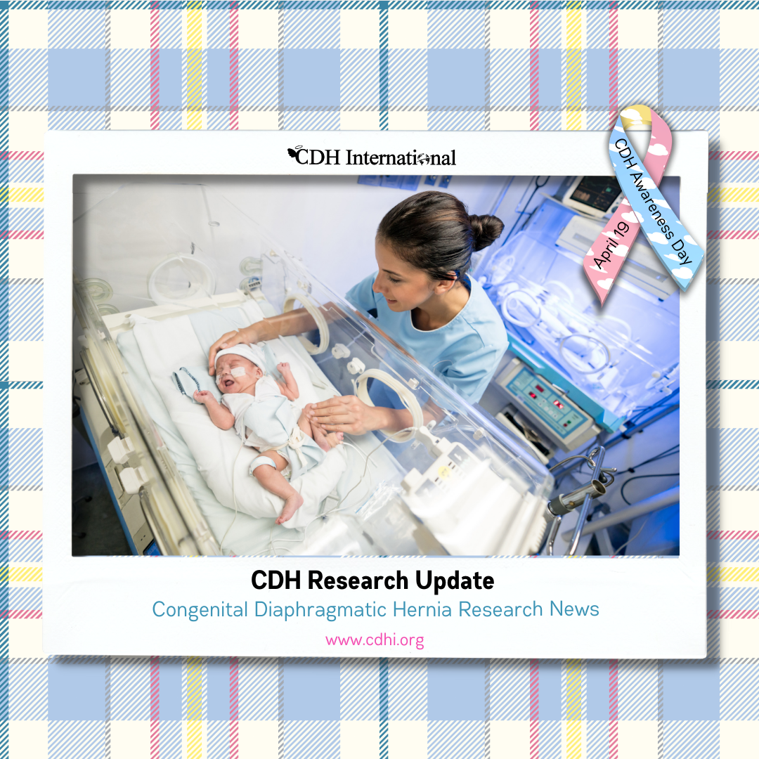 Research: Improved survival for infants with severe congenital diaphragmatic hernia