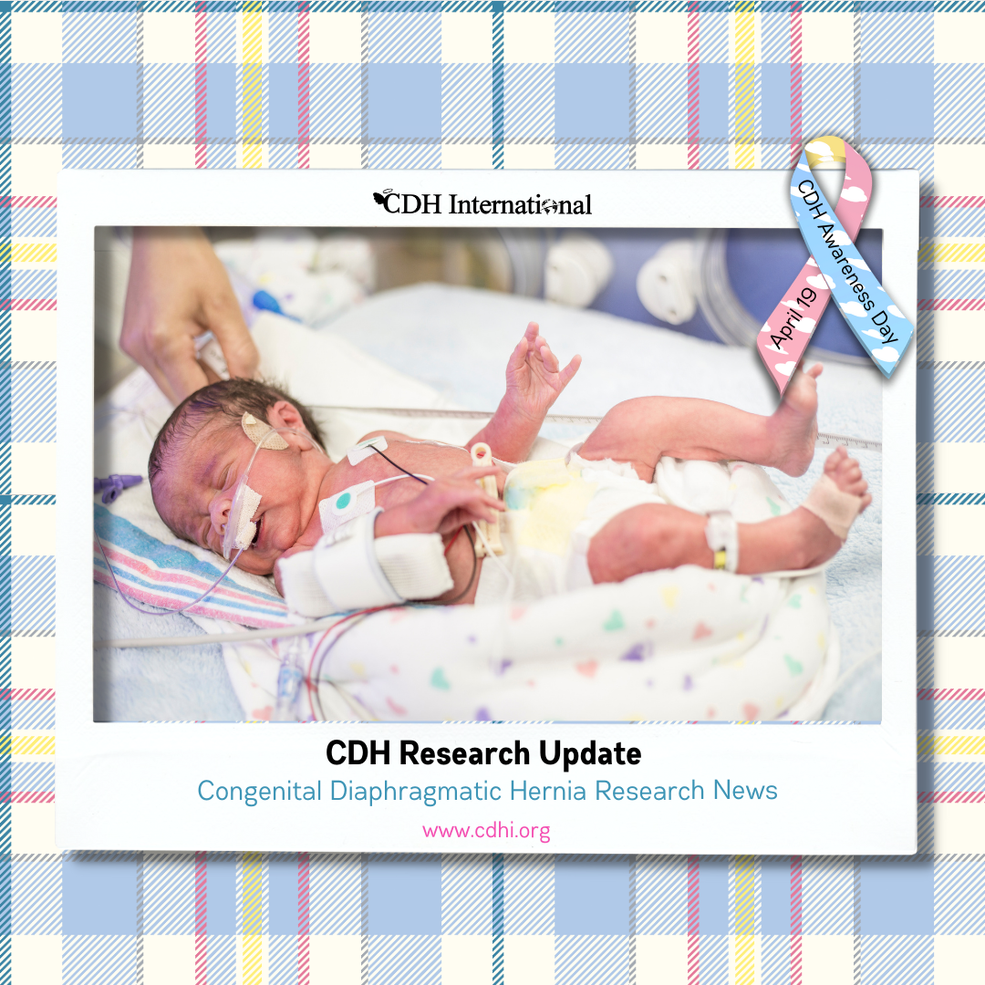 Research: Response to: “Congenital diaphragmatic hernia: What about respiratory mechanics?”