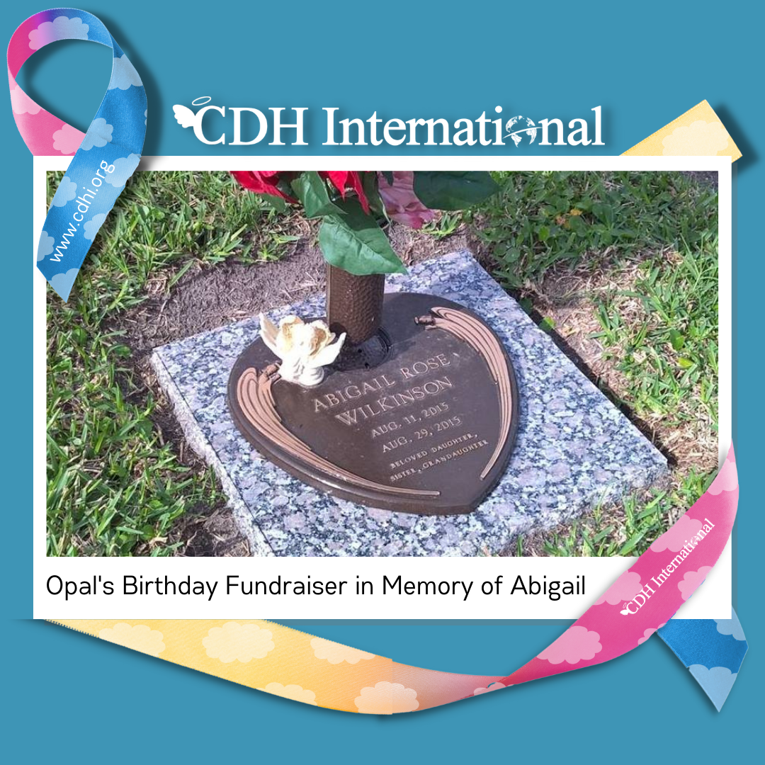 Allison’s Birthday Fundraiser for CDH International
