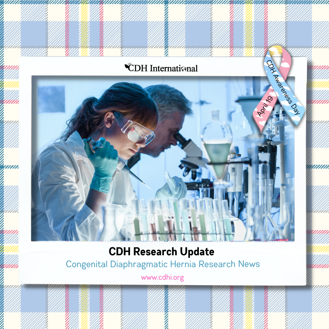 Research:  Impact of the COVID-19 pandemic on congenital diaphragmatic hernia patients: a single-center retrospective study