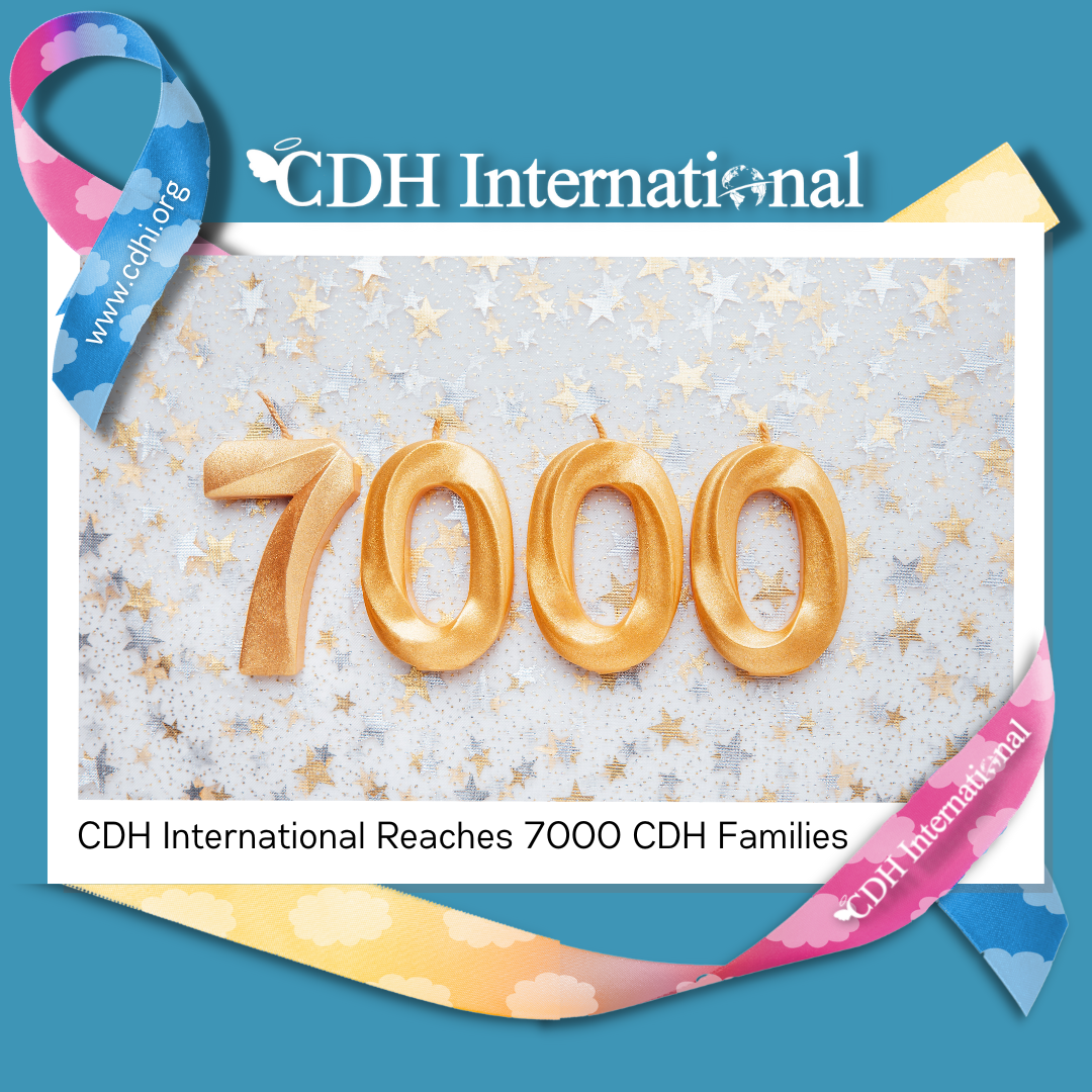 CDH International Wins Charity Transparency Award