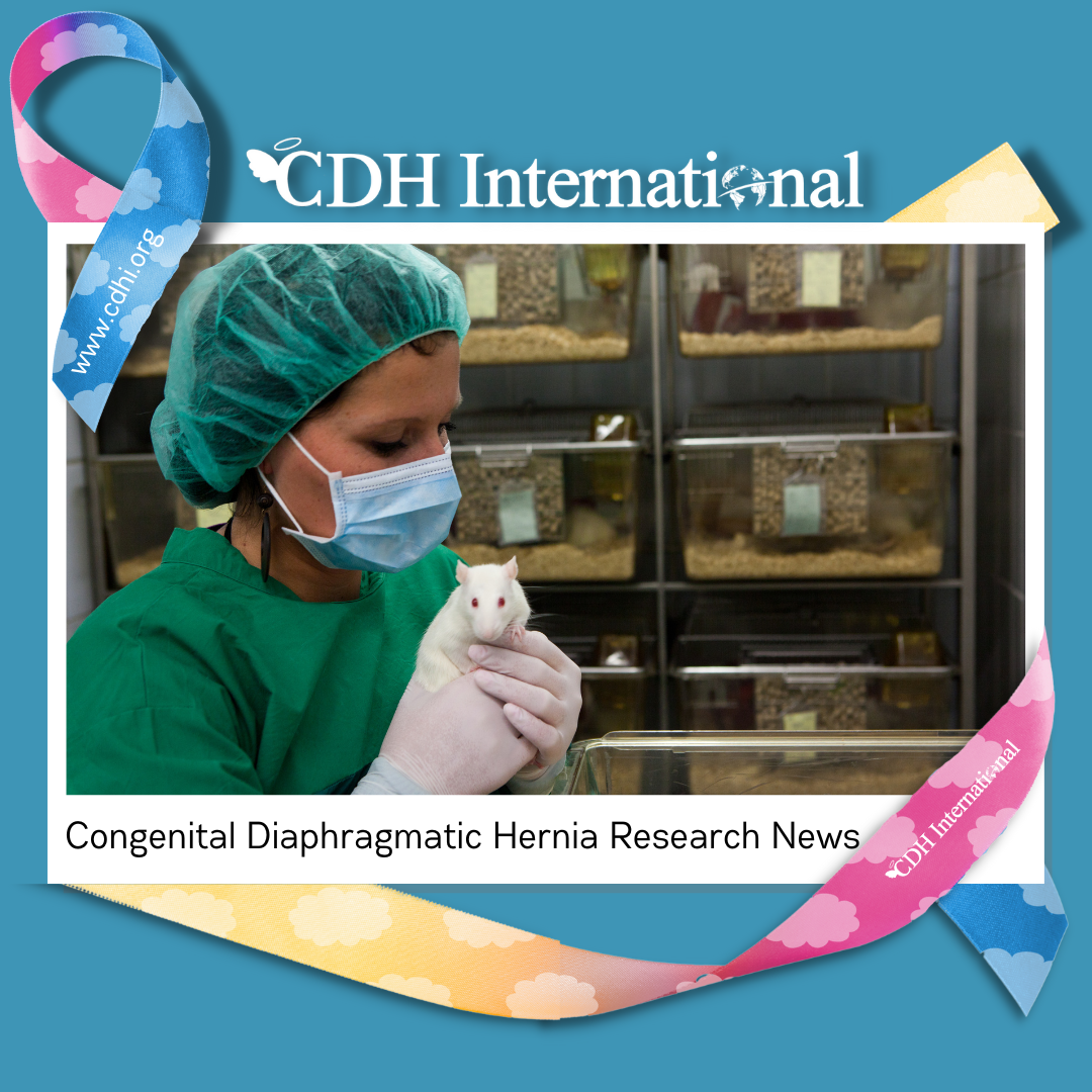 Research: Asymmetric thymic hyperplasia following repair of congenital diaphragmatic hernia