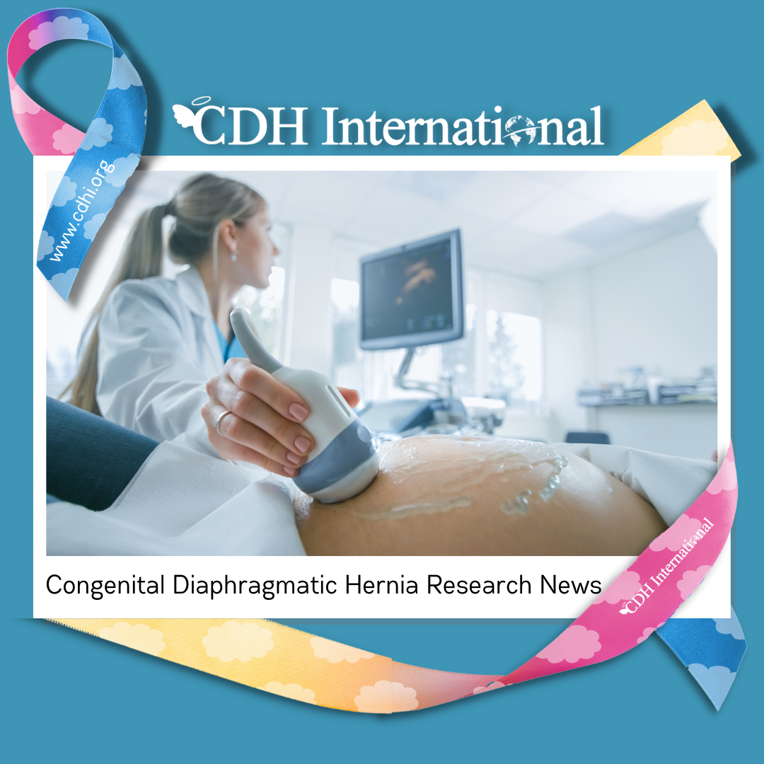 Research:  Respiratory function after birth in infants with congenital diaphragmatic hernia