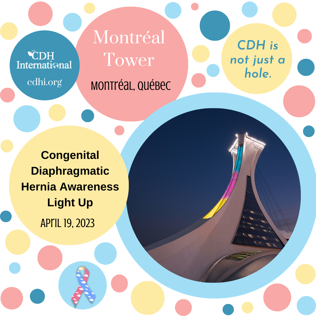 The BC Parliament Building Lights Up For CDH Awareness