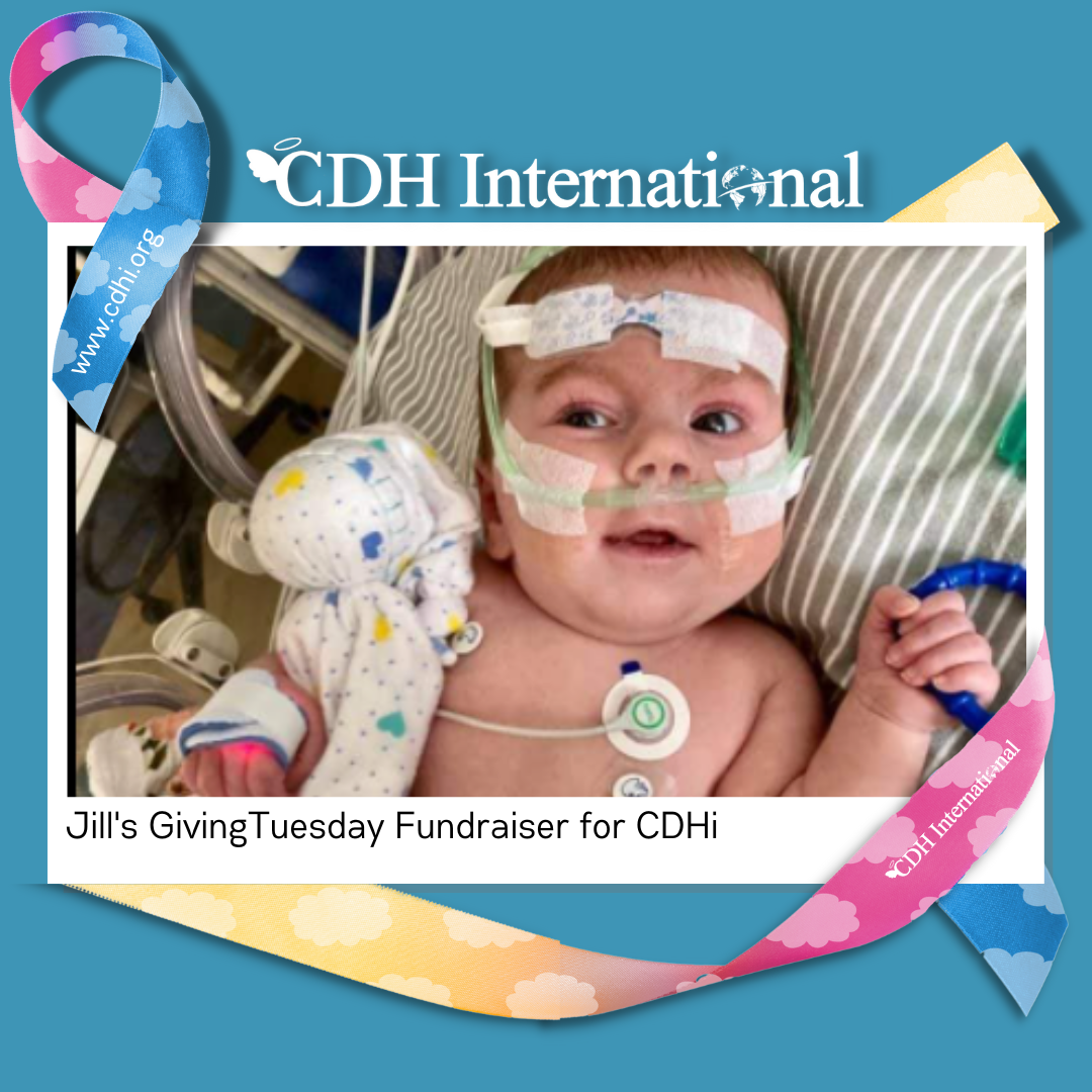 Hannah’s GivingTuesday fundraiser for CDHi