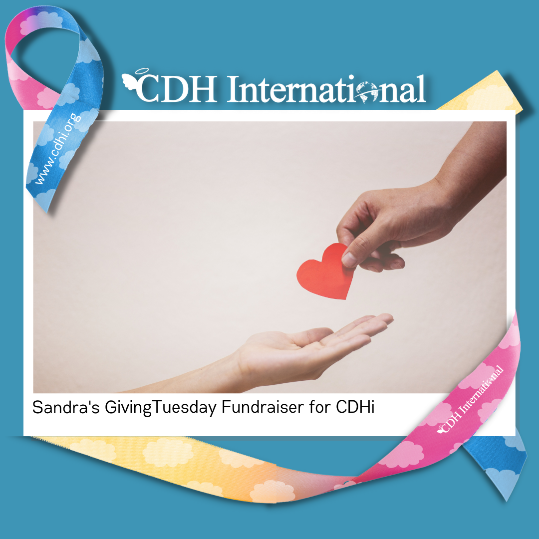 Michelle’s GivingTuesday fundraiser for CDHi in honor of Alexis