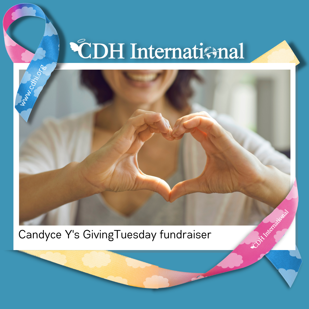 Terry’s GivingTuesday fundraiser for CDHi in honor of Gabrielle