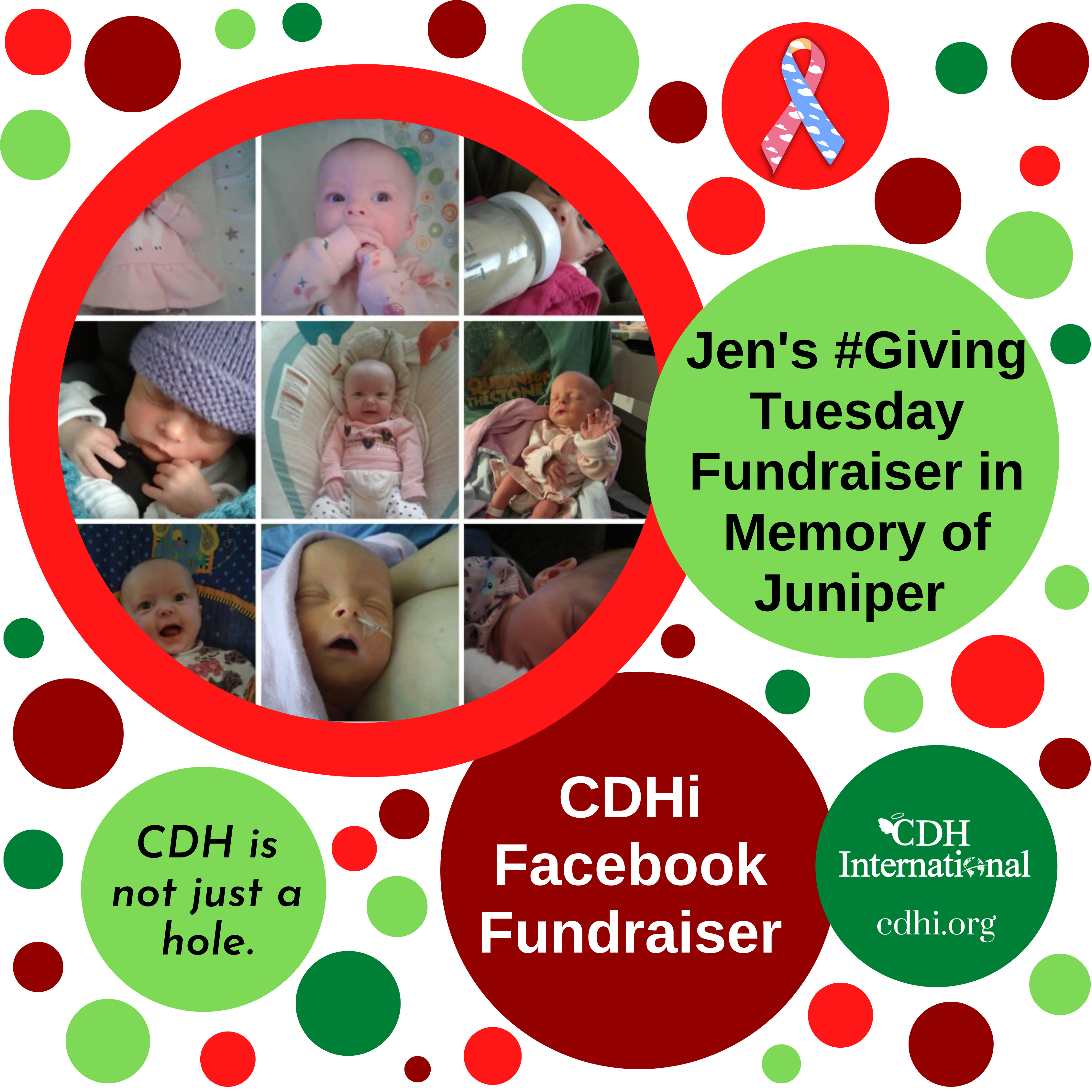 Jessica’s GivingTuesday fundraiser for CDHi in memory of Tristen