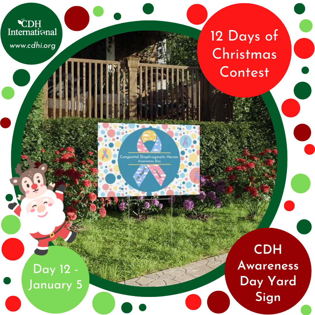 CDH 12 Days Of Christmas Contest – Day 11