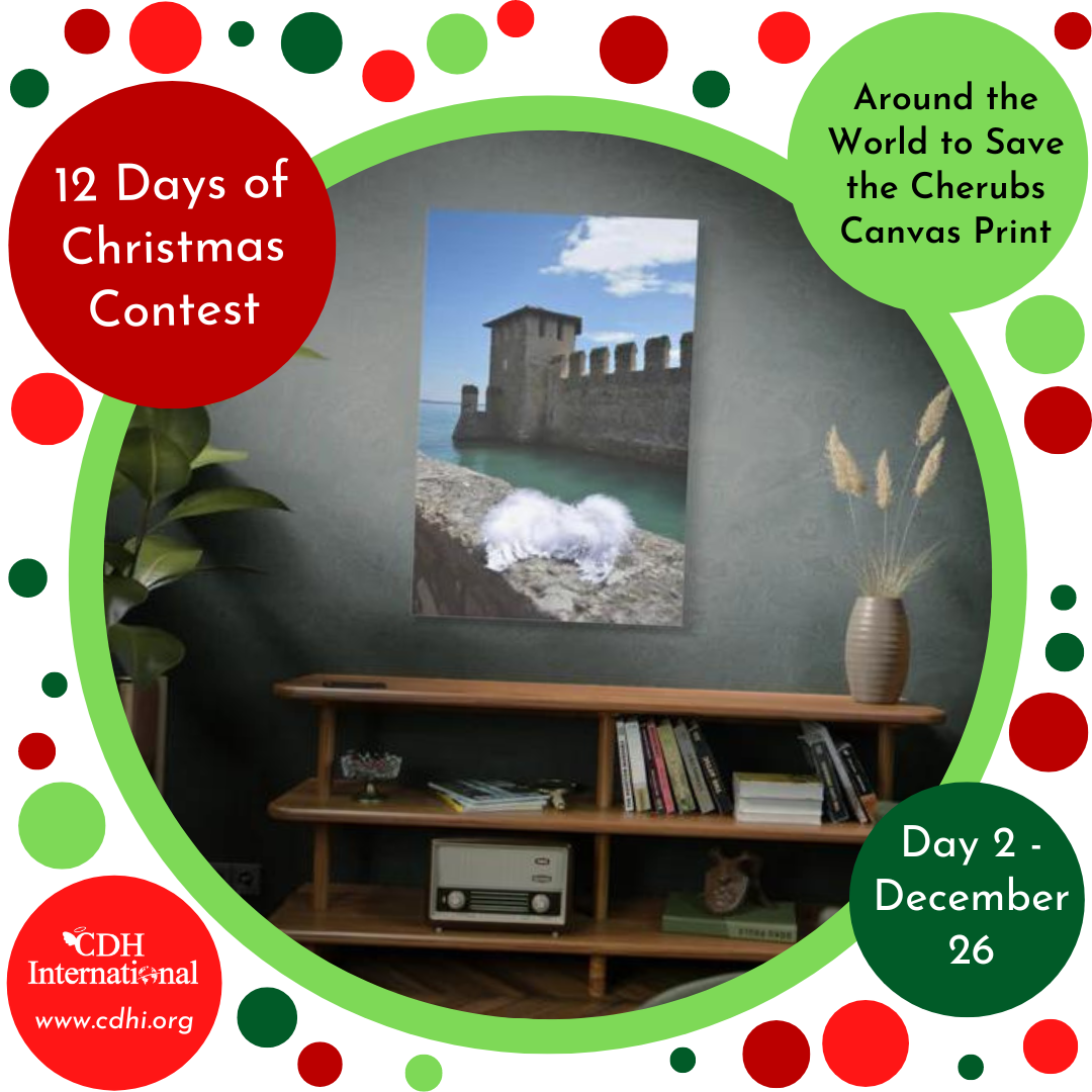 CDH 12 Days Of Christmas Contest – Day 1