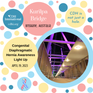 2023 Kurilpa Bridge insta