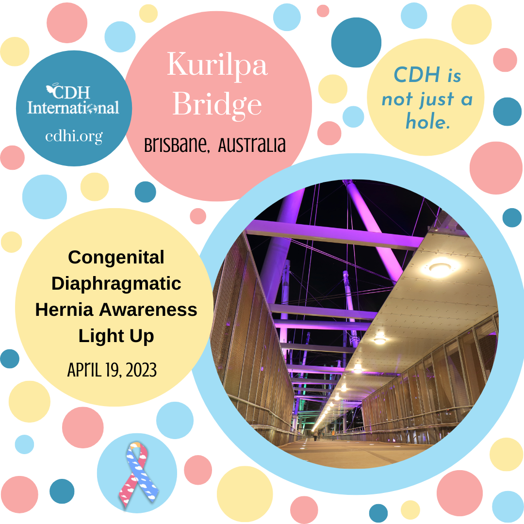 The Niagara Falls Illumination Board Lights Up For CDH Awareness