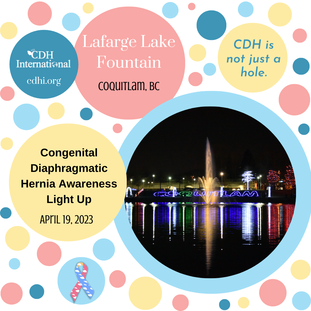 The Pinetree Way Light Column Lights Up For CDH Awareness