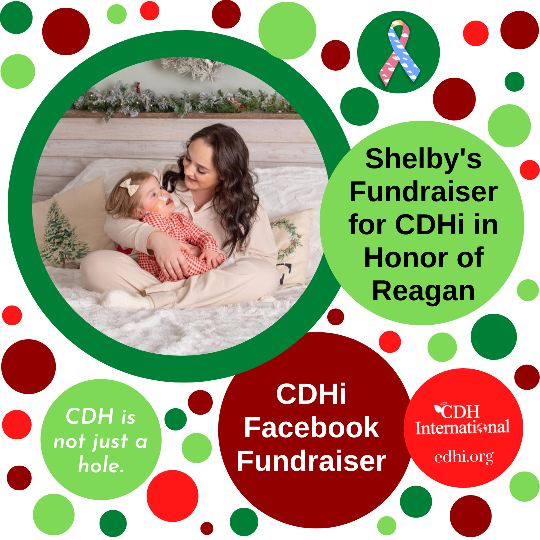CDH Featured Fundraisers for the Week of December 5, 2022