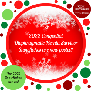 Dawns December 2022 Graphics (68)