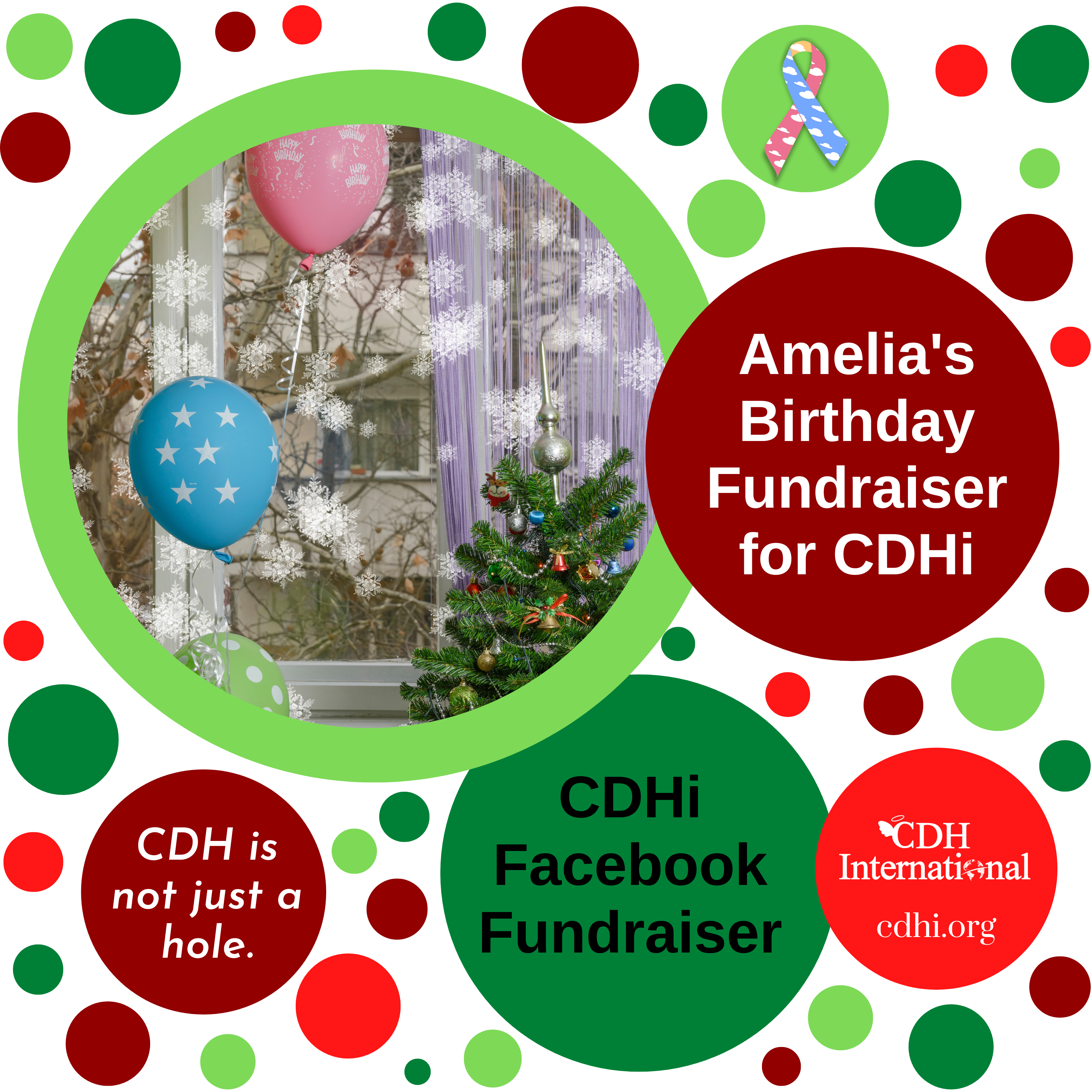 Donna’s Birthday Fundraiser for CDH International