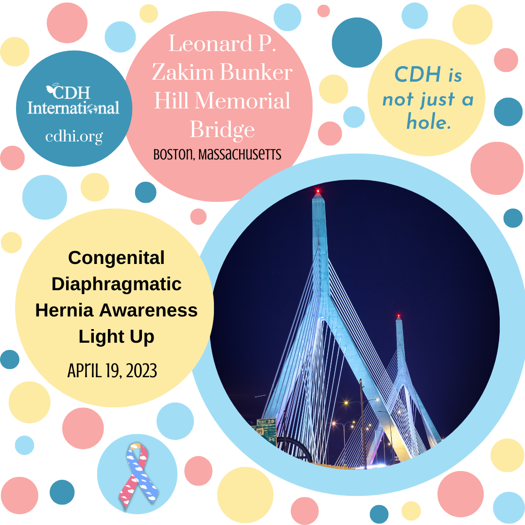 Longfellow Bridge Lights Up For CDH Awareness