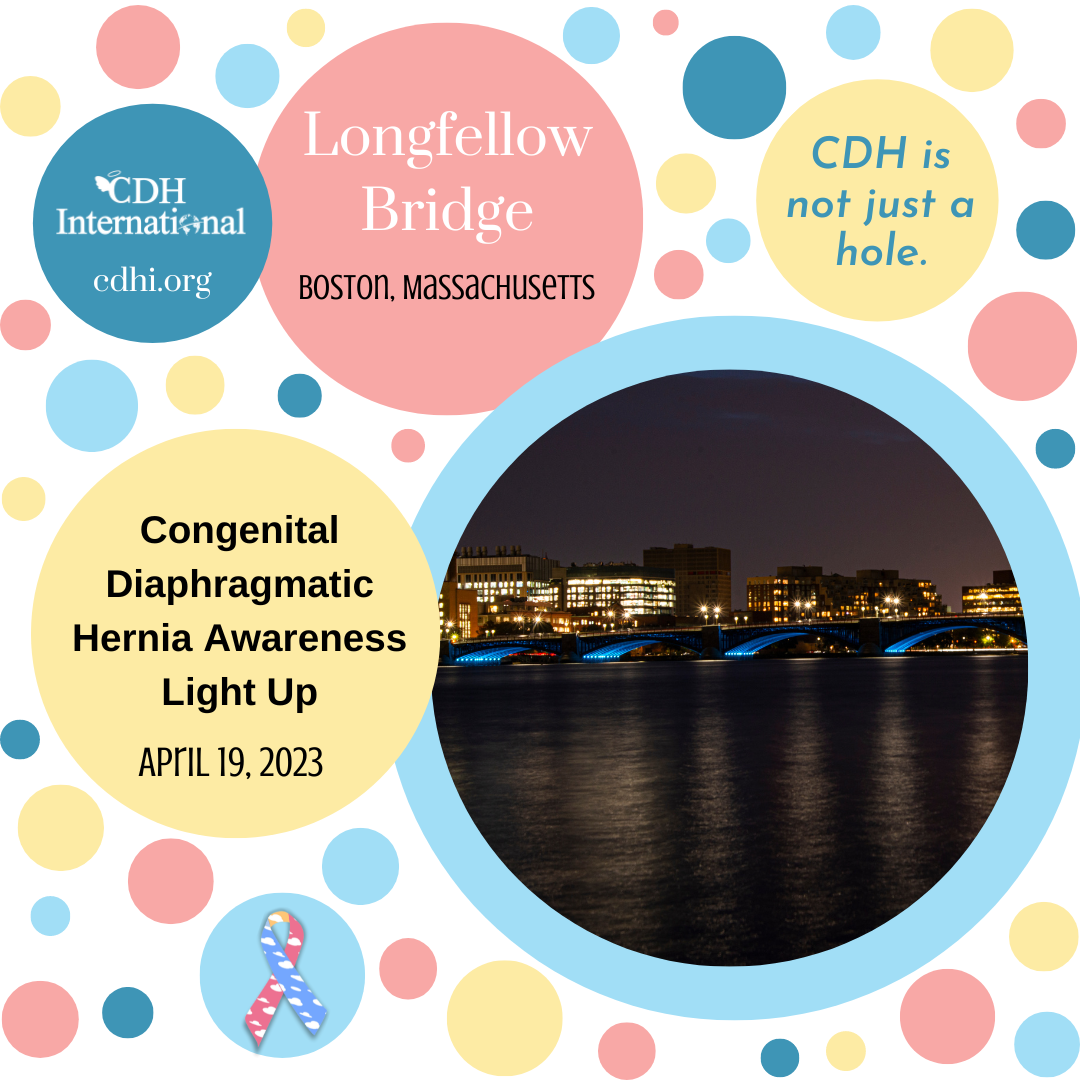 Leonard P. Zakim Bunker Hill Memorial Bridge Lights Up for CDH Awareness