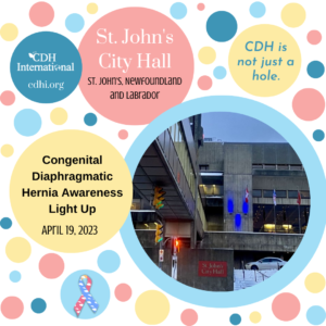 2023 St. John's City Hall Instagram (2)