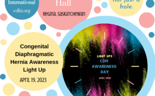 The Maple Ridge City Hall Lights Up For CDH Awareness