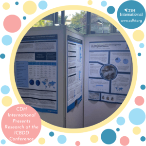 Dawns 2023 graphics (17)